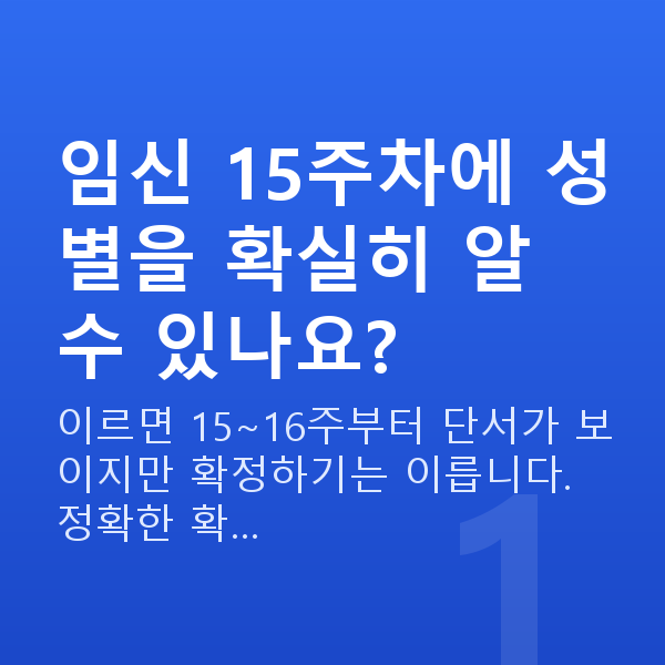 임신 15주차 성별 임신 15주차에 성별을 확실히 알 수 있나요?