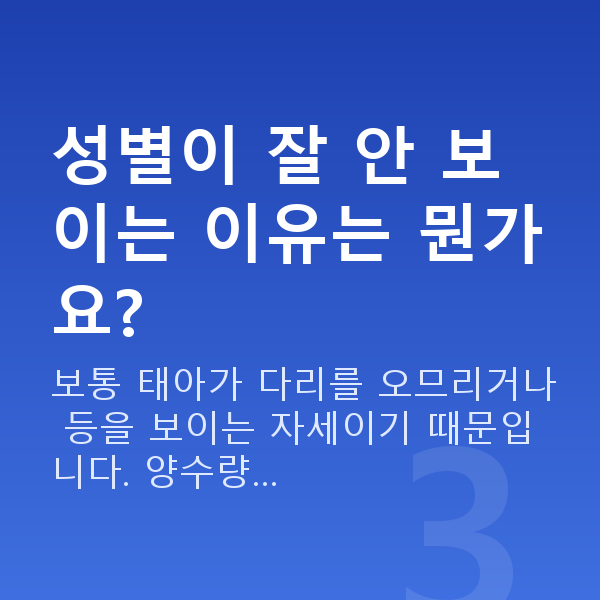 임신 15주차 성별 성별이 잘 안 보이는 이유는 뭔가요?