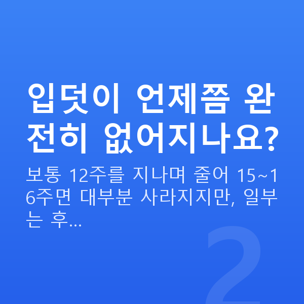 임신 15주차 입덧 입덧이 언제쯤 완전히 없어지나요?