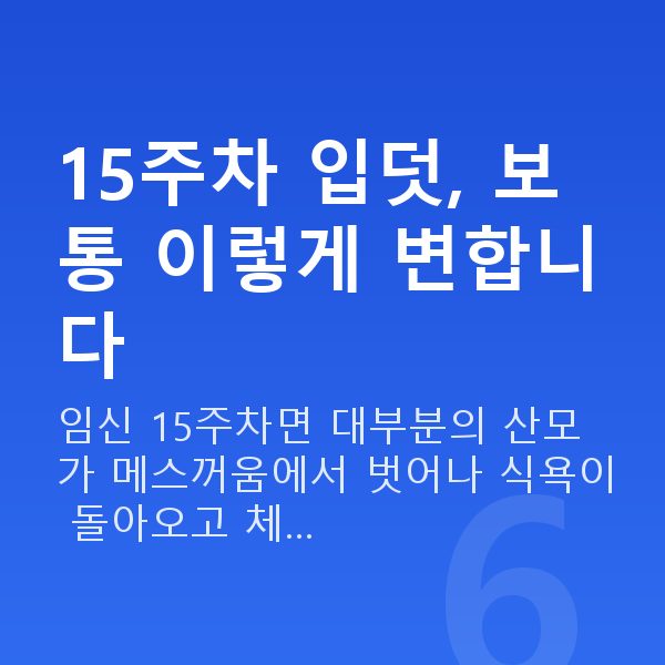 임신 15주차 입덧 15주차 입덧, 보통 이렇게 변합니다