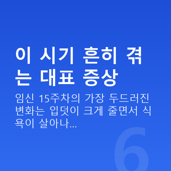 임신 15주차 증상 이 시기 흔히 겪는 대표 증상