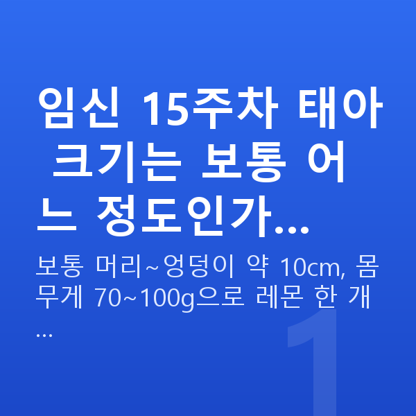 임신 15주차 태아 크기 임신 15주차 태아 크기는 보통 어느 정도인가…