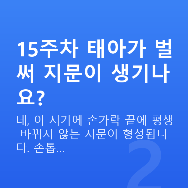 임신 15주차 태아 크기 15주차 태아가 벌써 지문이 생기나요?