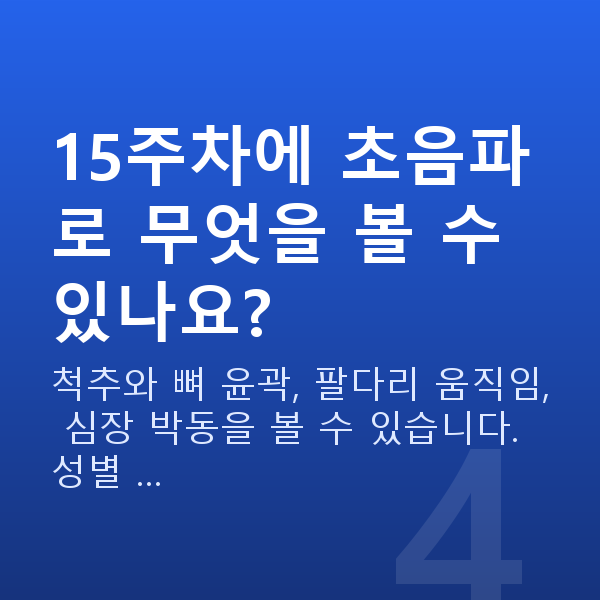 임신 15주차 태아 크기 15주차에 초음파로 무엇을 볼 수 있나요?