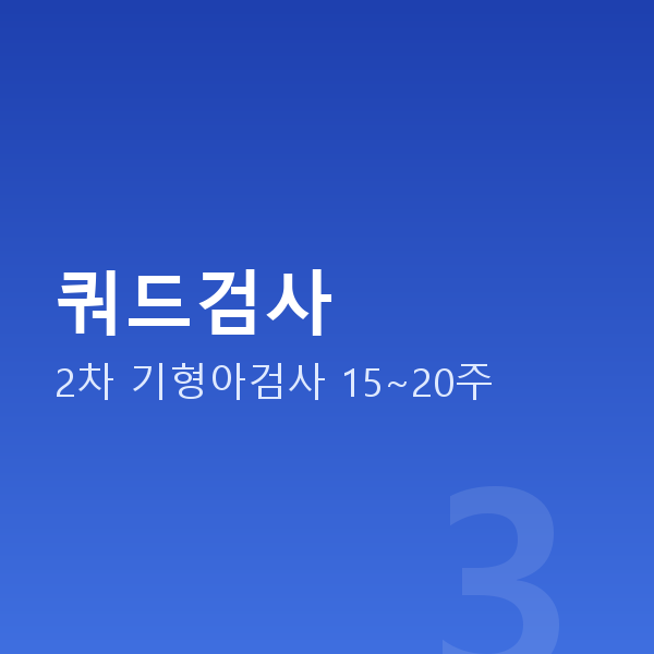 임신 16주차 쿼드검사