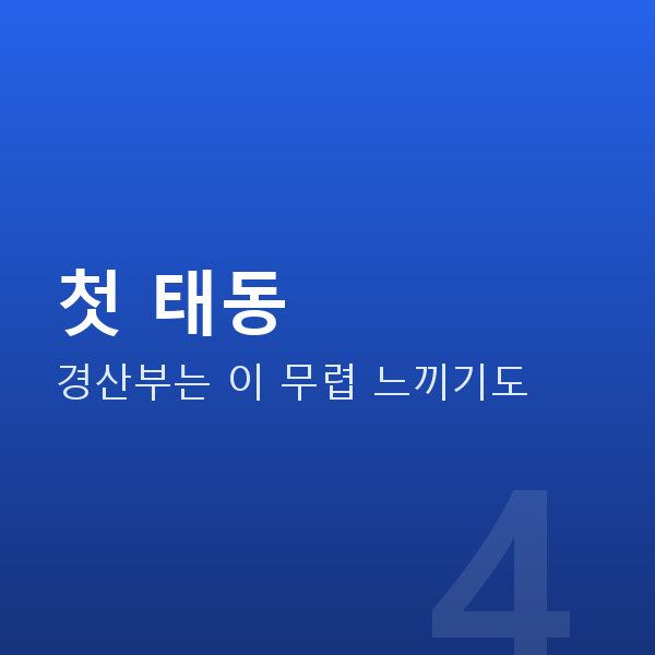 임신 16주차 첫 태동