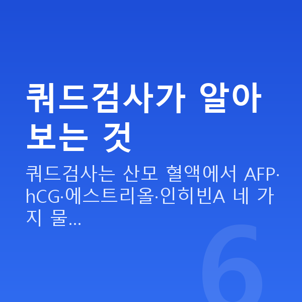 임신 16주차 기형아검사 쿼드검사가 알아보는 것