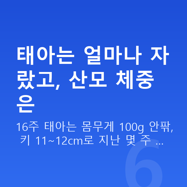 임신 16주차 몸무게 태아는 얼마나 자랐고, 산모 체중은