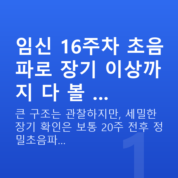 임신 16주차 초음파 임신 16주차 초음파로 장기 이상까지 다 볼 …
