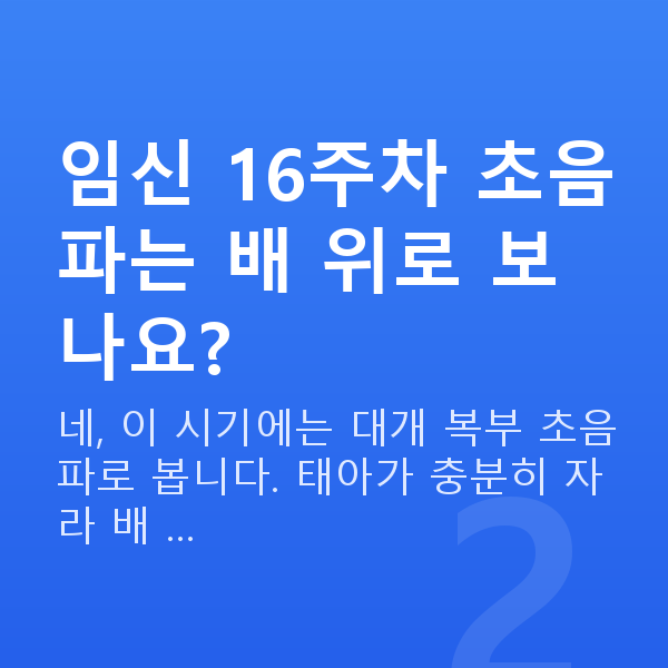 임신 16주차 초음파 임신 16주차 초음파는 배 위로 보나요?