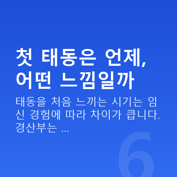 임신 16주차 태동 첫 태동은 언제, 어떤 느낌일까