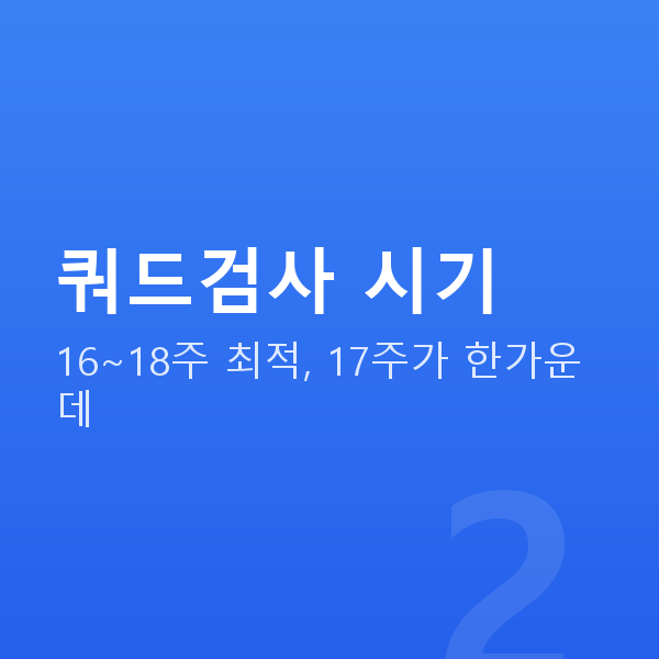 임신 17주차 쿼드검사 시기