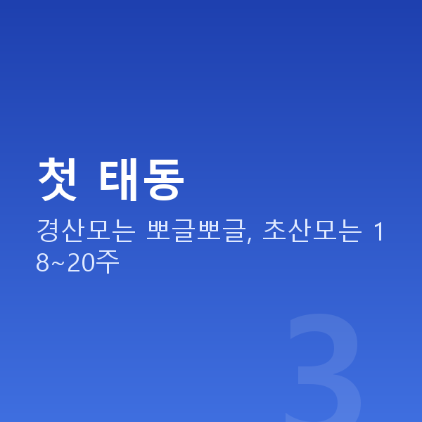 임신 17주차 첫 태동