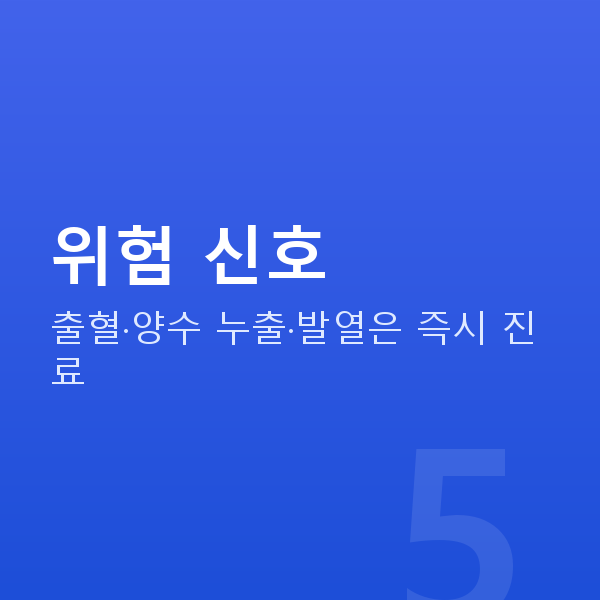 임신 17주차 위험 신호