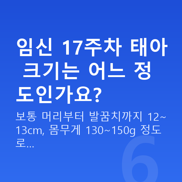 임신 17주차 임신 17주차 태아 크기는 어느 정도인가요?