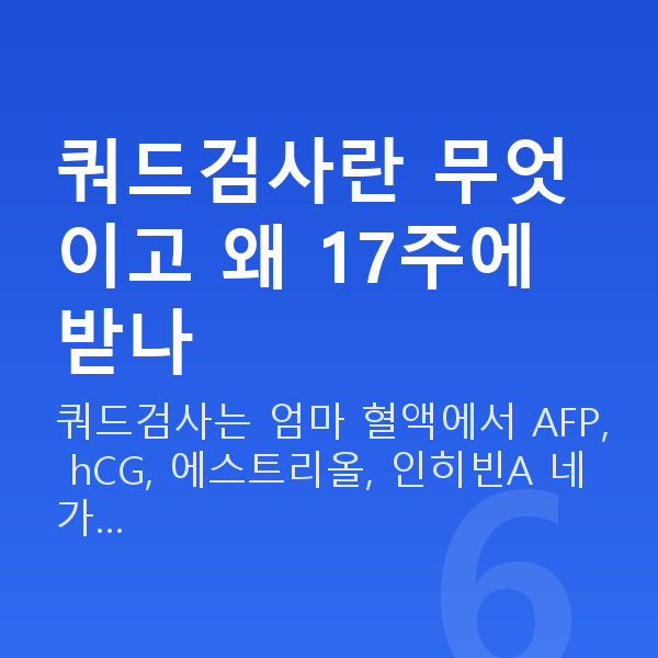 임신 17주차 기형아검사 쿼드검사란 무엇이고 왜 17주에 받나