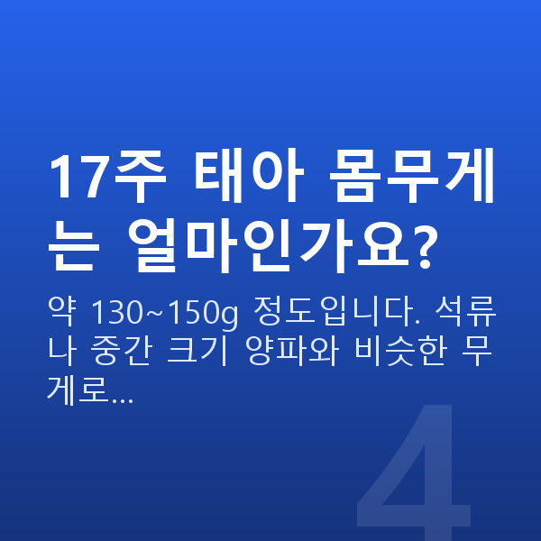 임신 17주차 몸무게 17주 태아 몸무게는 얼마인가요?
