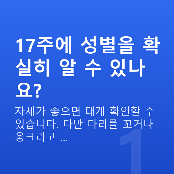 임신 17주차 성별 17주에 성별을 확실히 알 수 있나요?