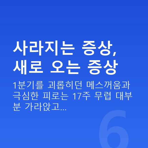임신 17주차 증상 사라지는 증상, 새로 오는 증상