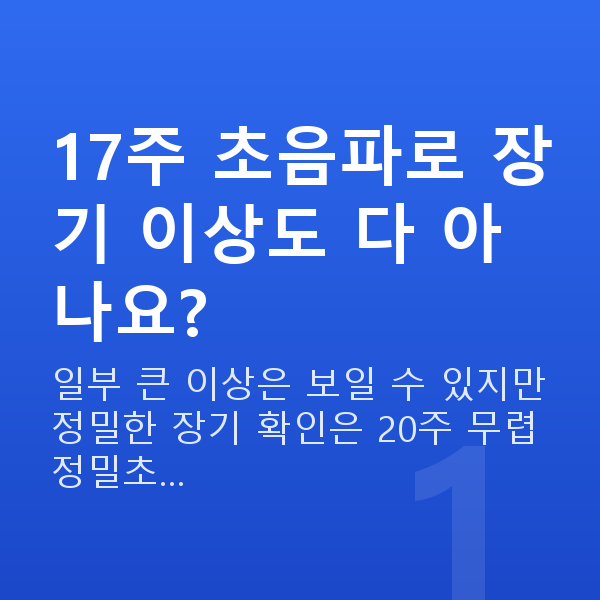 임신 17주차 초음파 17주 초음파로 장기 이상도 다 아나요?
