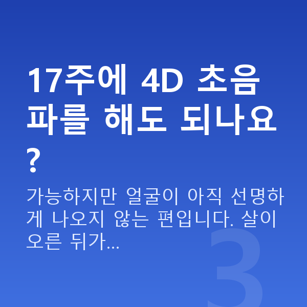 임신 17주차 초음파 17주에 4D 초음파를 해도 되나요?
