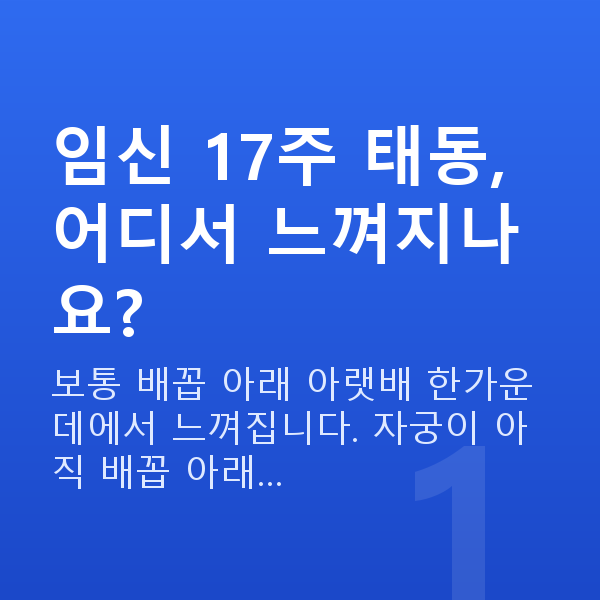 임신 17주차 태동 임신 17주 태동, 어디서 느껴지나요?