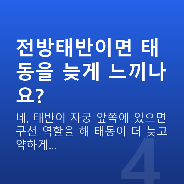 임신 17주차 태동 전방태반이면 태동을 늦게 느끼나요?