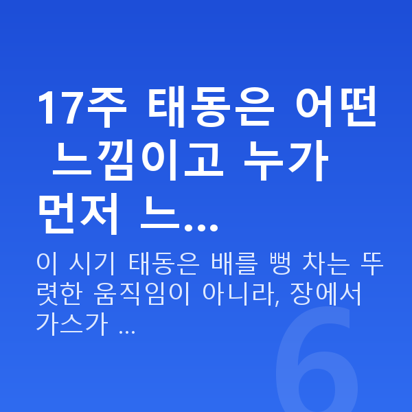 임신 17주차 태동 17주 태동은 어떤 느낌이고 누가 먼저 느…