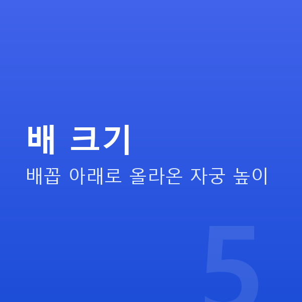 임신 18주차 배 크기