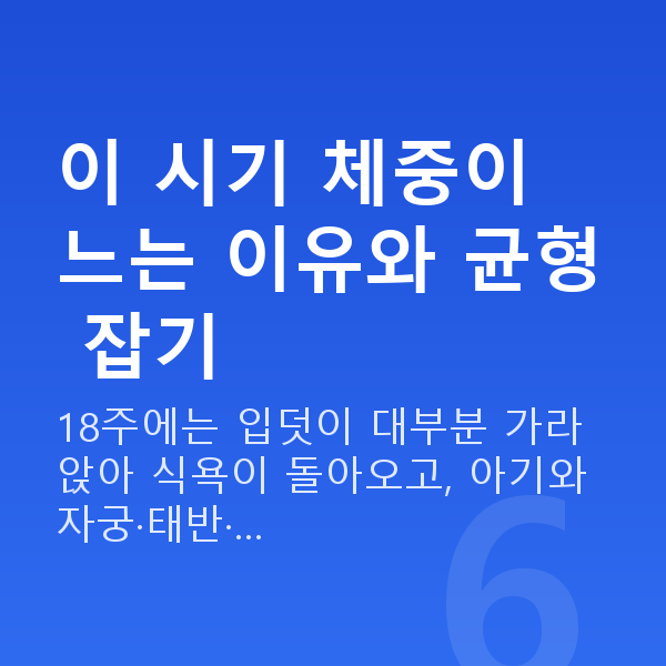 임신 18주차 몸무게 이 시기 체중이 느는 이유와 균형 잡기
