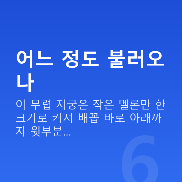 임신 18주차 배 크기 어느 정도 불러오나