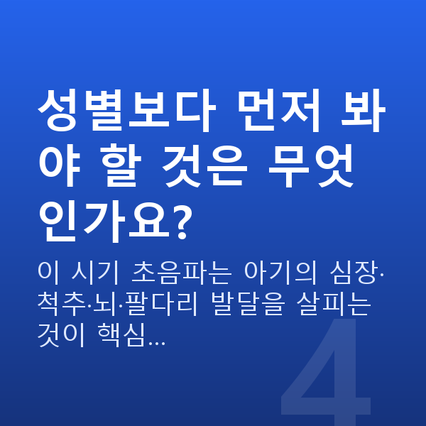 임신 18주차 성별 성별보다 먼저 봐야 할 것은 무엇인가요?