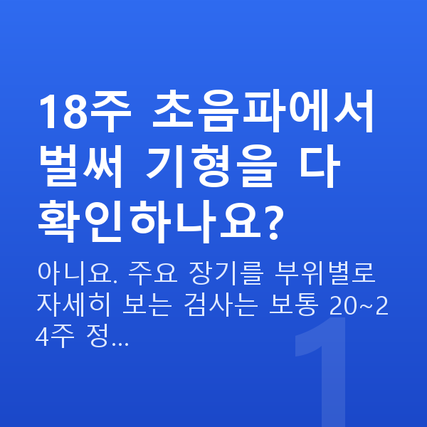 임신 18주차 초음파 18주 초음파에서 벌써 기형을 다 확인하나요?