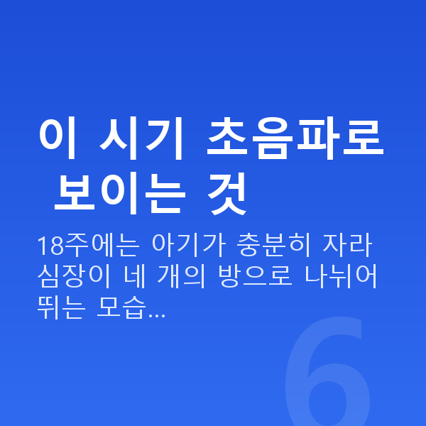 임신 18주차 초음파 이 시기 초음파로 보이는 것