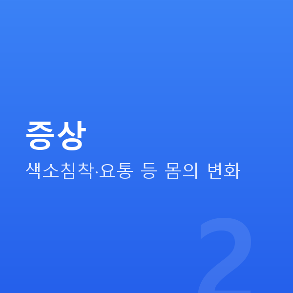 임신 19주차 증상