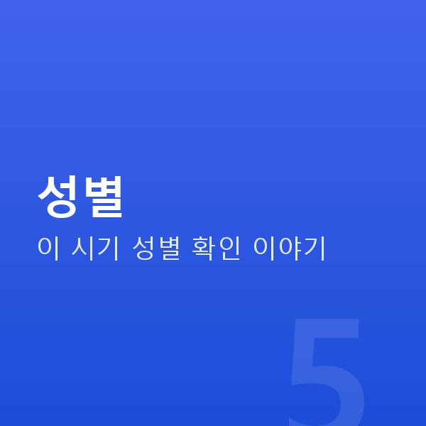임신 19주차 성별