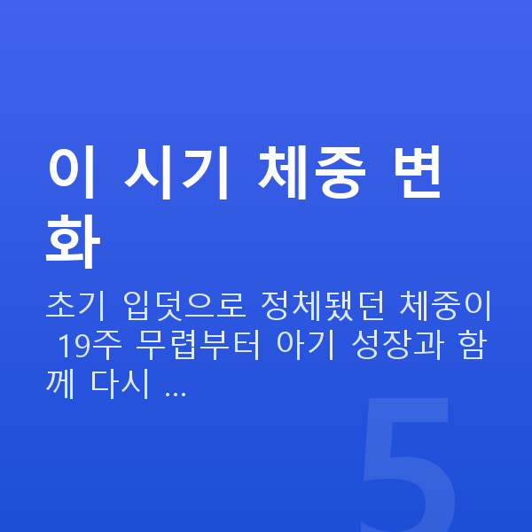 임신 19주차 몸무게 이 시기 체중 변화