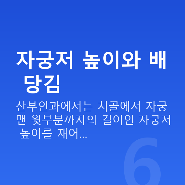 임신 19주차 배 크기 자궁저 높이와 배 당김
