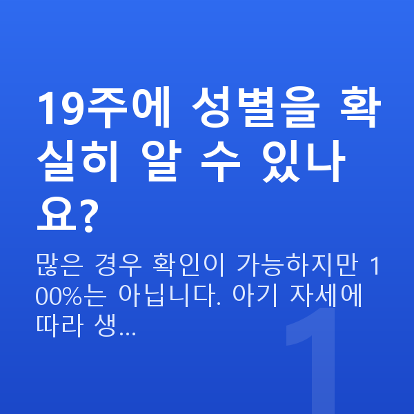 임신 19주차 성별 19주에 성별을 확실히 알 수 있나요?
