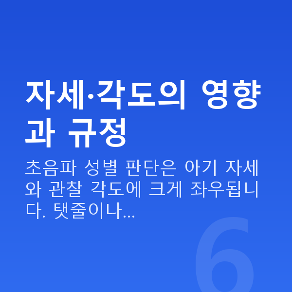 임신 19주차 성별 자세·각도의 영향과 규정