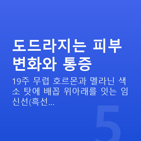 임신 19주차 증상 도드라지는 피부 변화와 통증