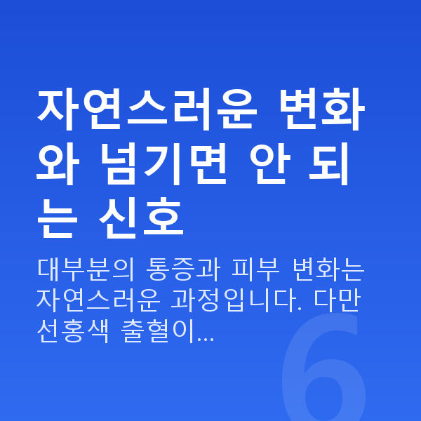 임신 19주차 증상 자연스러운 변화와 넘기면 안 되는 신호