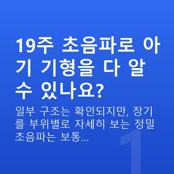 임신 19주차 초음파 19주 초음파로 아기 기형을 다 알 수 있나요?
