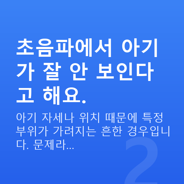 임신 19주차 초음파 초음파에서 아기가 잘 안 보인다고 해요.
