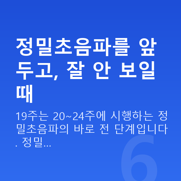 임신 19주차 초음파 정밀초음파를 앞두고, 잘 안 보일 때