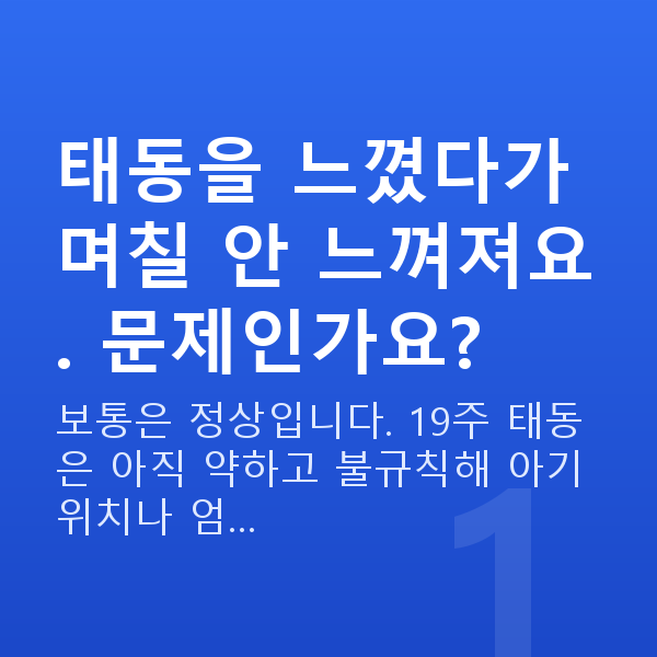 임신 19주차 태동 태동을 느꼈다가 며칠 안 느껴져요. 문제인가요?
