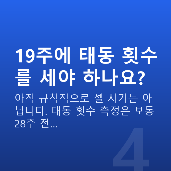 임신 19주차 태동 19주에 태동 횟수를 세야 하나요?