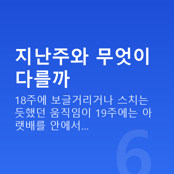 임신 19주차 태동 지난주와 무엇이 다를까