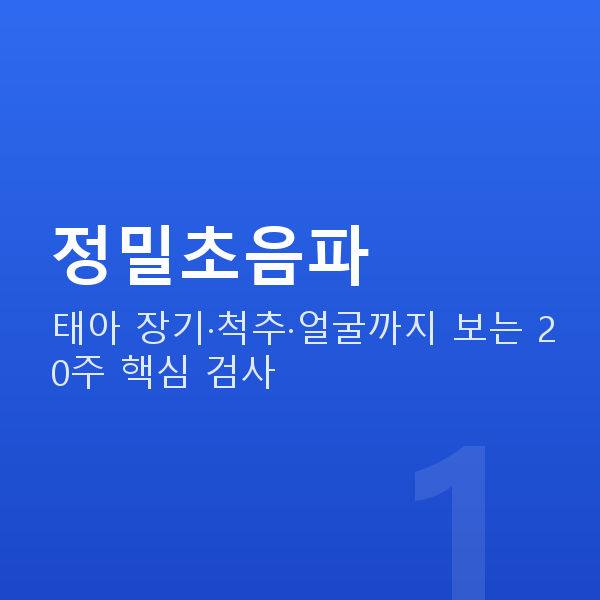 임신 20주차 정밀초음파