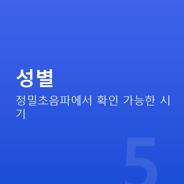 임신 20주차 성별